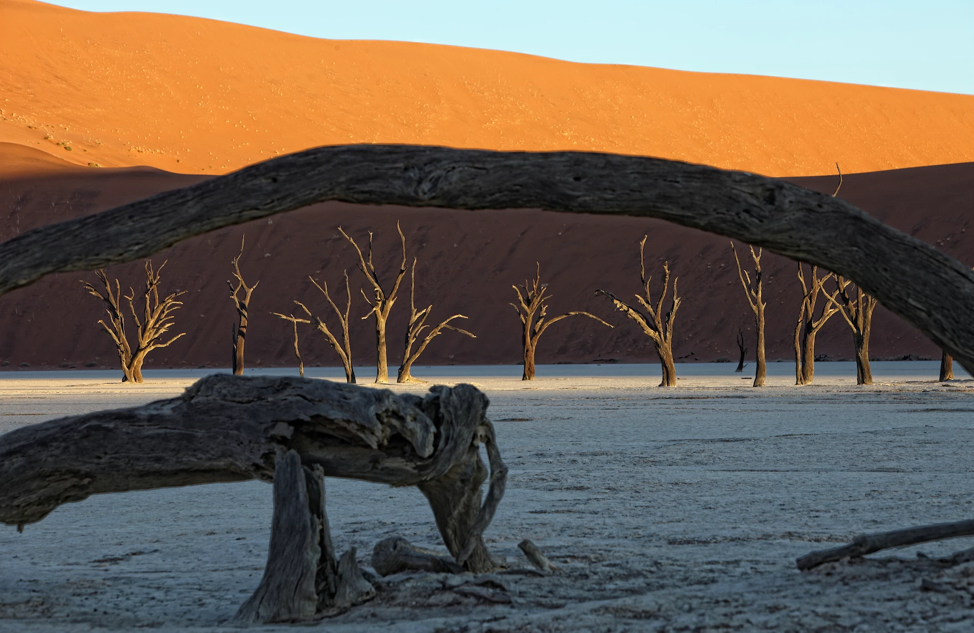 Namib-Naukluft Park, Dead Vlei, Namibia