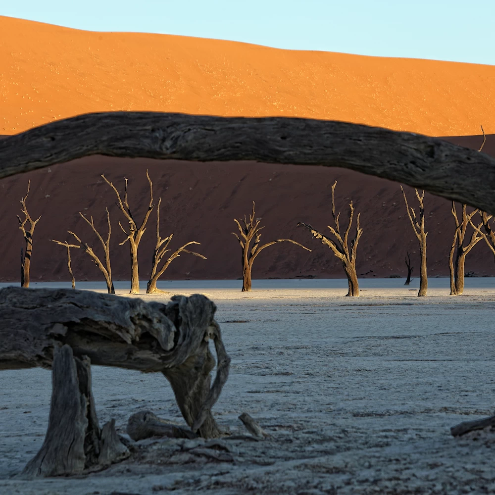 Namib-Naukluft Park, Dead Vlei, Namibia