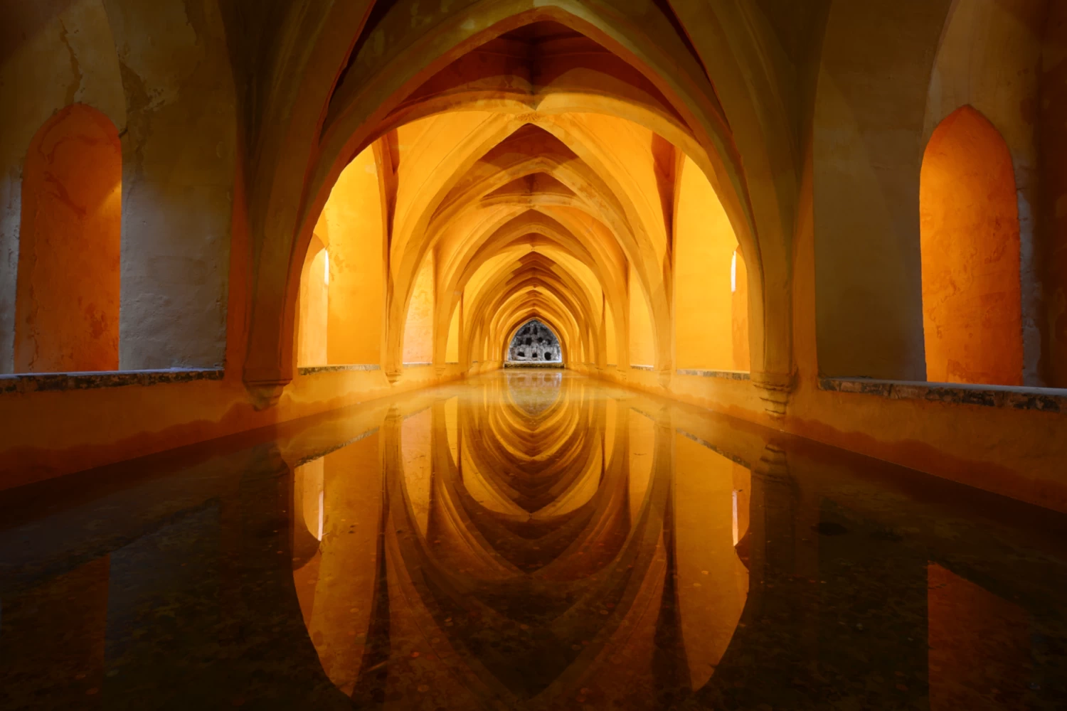 Jozef Borovsk&yacute;, Author, Chrysalis Books